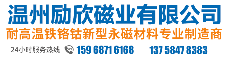 温州励欣磁业有限公司